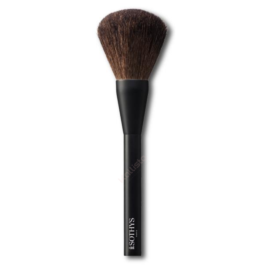 pinceau poudre sothys